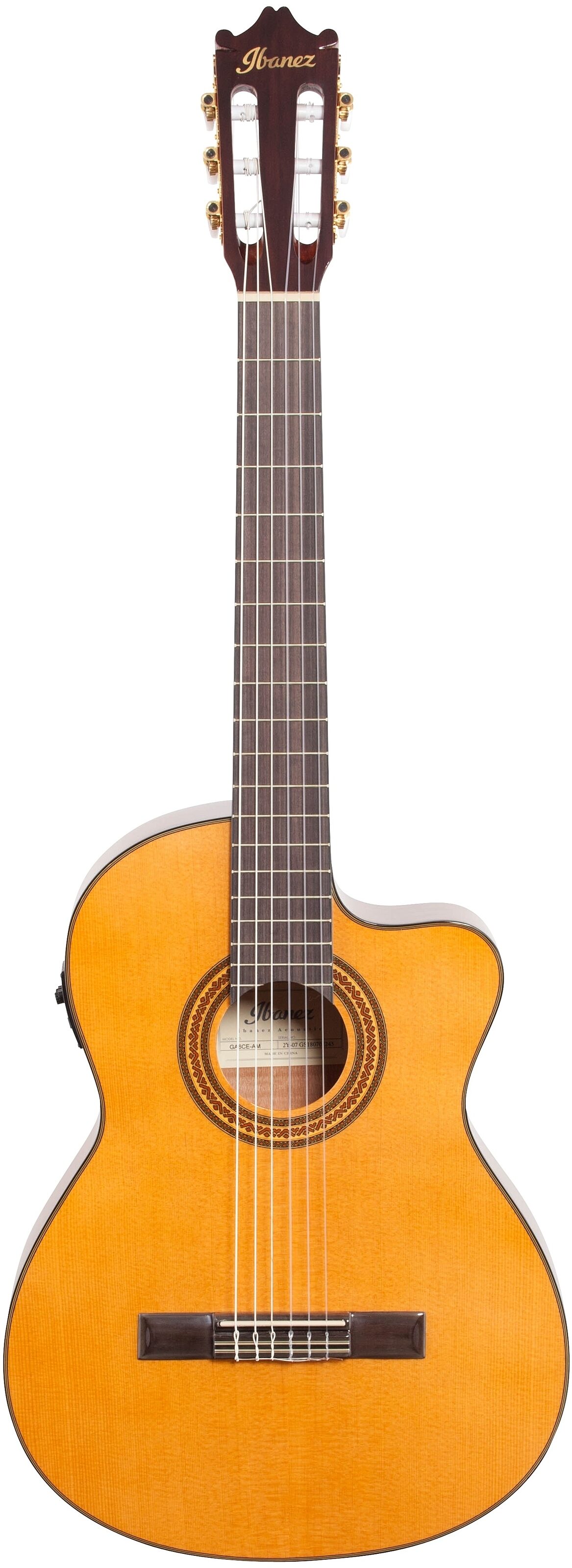 Ibanez GA6CE Classical Cutaway Acoustic-Electric Guitar, New, Full Straight Front