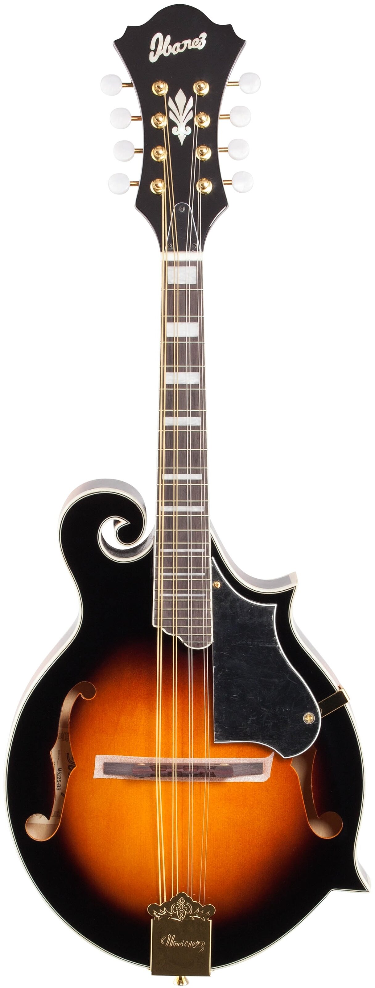 Ibanez M522S F-Style Mandolin, Brown Sunburst, Full Straight Front