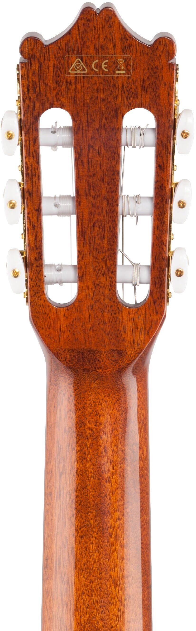 Ibanez GA6CE Classical Cutaway Acoustic-Electric Guitar, New, Headstock Straight Back
