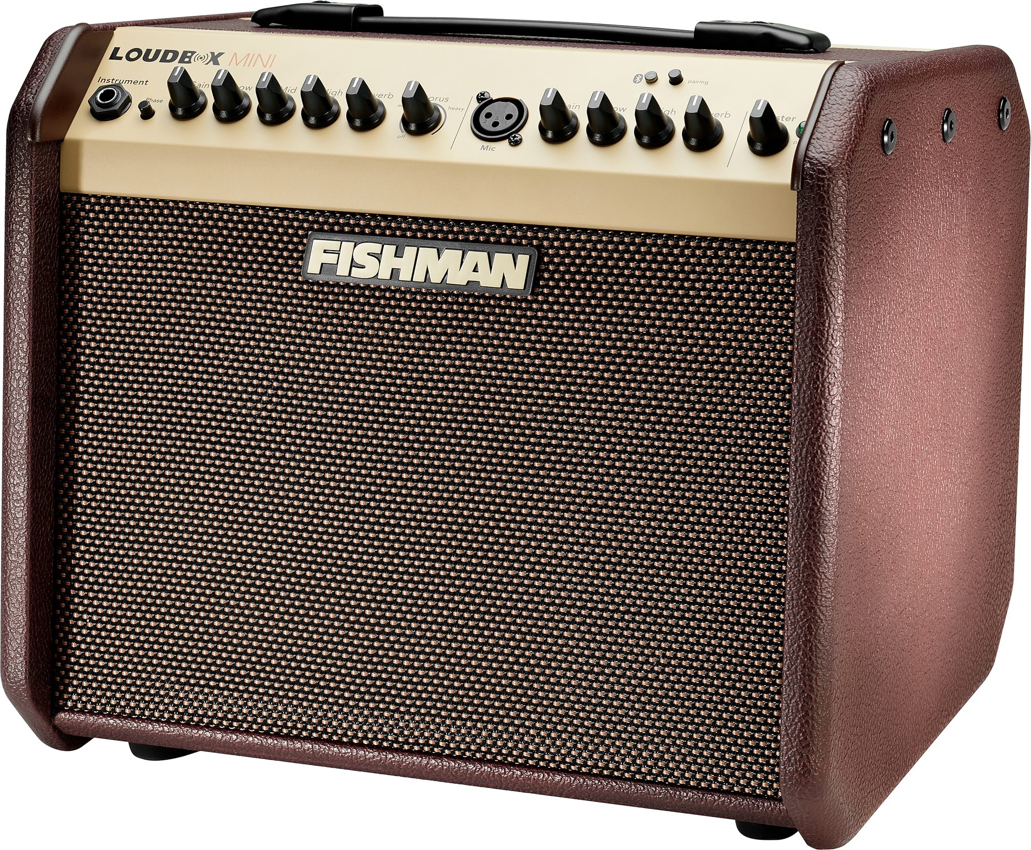 Fishman Loudbox Mini Acoustic Guitar Combo Amplifier with Bluetooth (60 Watts), New, Action Position Back