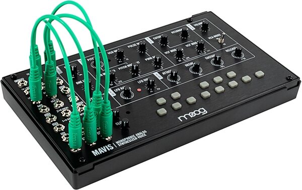 Moog Mavis Desktop Analog Synthesizer, New, Angled Control Panel
