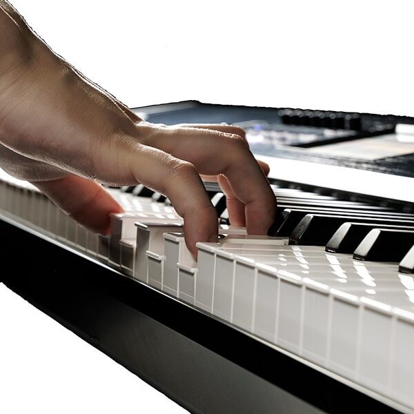 Korg Nautilus 88 AT Synthesizer Workstation Keyboard, Black, Action Position Back