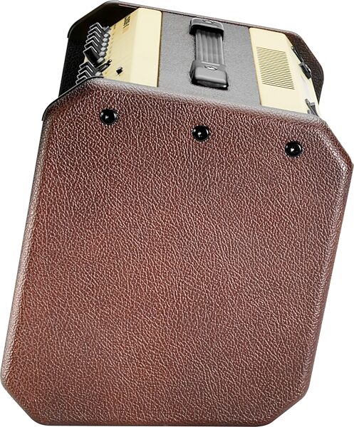 Fishman Loudbox Mini Acoustic Guitar Combo Amplifier with Bluetooth (60 Watts), New, Action Position Back