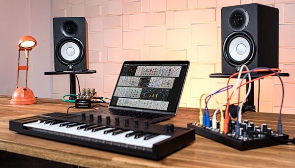 Native Instruments Reaktor 6 Software Synthesizer, Digital Download, Action Position Back